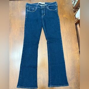 Abercrombie & Fitch Jeans Size 4 S 27 X 31